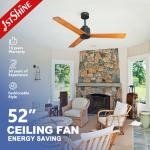 6 Speed 52 Inch 3 Blade Ceiling Fan Saving Electricity 110V Low Voltage for sale
