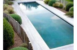 China Topshaw Low Cost Customize 20ft 40ft Modern Backyard Swimming Pool for Sale supplier
