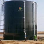 Biogas Cogeneration Biogas CNG Plant Bio Gas Plant For Home Price for sale