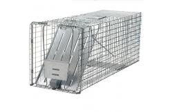 China 24x7x8'' Collapsible Live Animal Trap Cage 1x1 Inch Wire Mesh Galvanized supplier