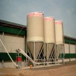 Fully Automated Ventilated Chicken Coop Light Steel Frame Structure Building