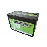12 Volt Deep Cycle Solar RV Caravan Marine 12 Volt Lithium Ion Battery 12V 100ah LiFePO4 Battery for sale
