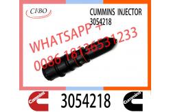 China Common Rail Injector 3047973 3071497 4914537 3054218 for Diesel Engine NT855 supplier