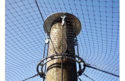 China Stainless Steel Aviary Wire Netting , Cable Braid Bird Enclosure Netting supplier