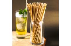 China Customized Design Biodegradable Paper Drinking Straws Earth Friendly BAP Free supplier