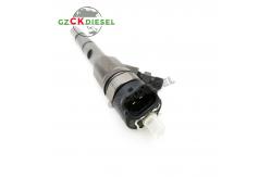 China Injector 0445110591 0445110592 0445110217 0445110218 0445110286 for Bosch supplier