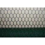 25M Plastic Coated Chicken Wire Netting 0.8mm hexagonal poultry netting for sale