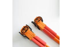 China Customized Request Industrial Cable Assembly for Automation Automotive Wire Harness supplier