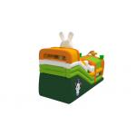 Tarpaulin Inflatable Water Slides Rabbit Themed Kids Water Jumping Castle With Slide