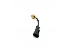 China LN-GTS Bronze CNG LPG Automotive Gas Temperature Sensor supplier