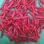 Freshly Harvested Guajillo Chilli Seeds - Moisture 8%-12% - Purity 95-99% for sale