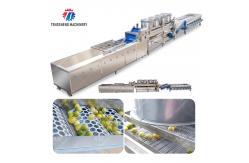 China 2025 Silver Fruit And Vegetable Processing Line for Processing supplier