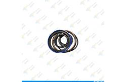 China GENIE 105564GT STEER CYLINDER SEAL KIT supplier