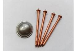 China Low Carbon Steel Cd Insulation Nails 3mm Diameter With Self Locking Washers supplier