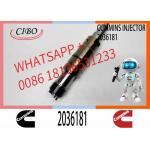 Common Rail DX350 Fuel Injector 2488244 2036181 0984302 180745090 DDJ8L0HW2 Diesel Engine