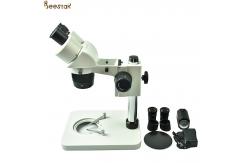 China Queen Bee Artificial Insemination Equipment Standard Version with Kits for Agricultural Experiment supplier