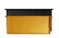 China High Quality Beekeeping Tools Beehive Plastic Langstroth Bee Honey Frames With Foundation supplier