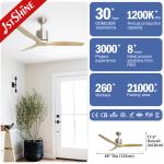 Derative Ceiling Fan DC Motor Ceiling Fan With 6 Speed Remote