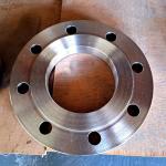 Sandblasted Titanium Pipe Flanges Forged For Corrosion Resistance for sale