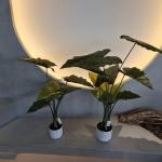 Hypoallergenic Plastic Artificial Plants Realistic Uv Resistant 70-95CM for sale