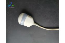 China GE RAB4-8-D Convex Ultrasound Transducer Probe 4D Repair And Dome Replacement supplier