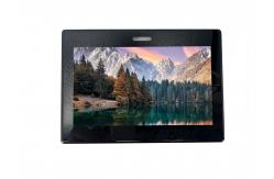 China RGH 4.3 Inch TFT LCD capactive Touchscreen supporting customized supplier