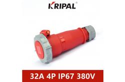 China Dampproof 3h IP67 32A 4 Pin Plug Socket For Refrigerated Container supplier