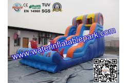 China Inflatable Water Slide For Amusement Park  / Inflatable Pool Slide supplier