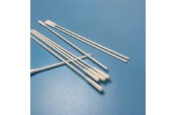 China 15cm Long Specimen Collection Swabs Throat Sampling Swab With 30mm Breakpoint supplier