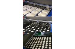 China Wirecut Dough Cookie Depositor Machine Macaron Maker supplier