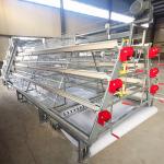 4 Tiers A Type Cage System For Broiler Battery Chicken Q235A for sale
