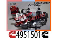 China Cummins NT855 NTA855 Fuel Pump 4951501 3019487 560659 3019488 supplier