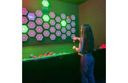 China Interactive Throwing Game Room Team Sport Reaction Physically Challenging Ar Game supplier