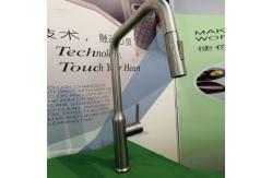 China Pull Out Extendable Hose High Arc Kitchen Faucet Eco Friendly supplier