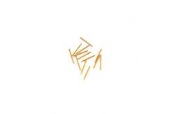China A4 A5 Notebook Spring Binder Spiral Plastic Stainless Compression Spring 2mm Od supplier