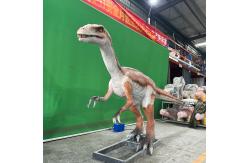 China Robotic Real Animatronics Dinosaurs Waterproof For Restaurant / Hotel supplier