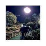 Outdoor Or Indoor Most Occasion Film Photo Production Lighting Balloon 3m 9.84ft for sale