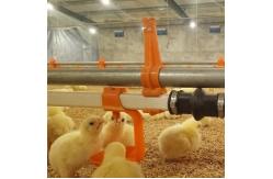 China Automatic Chicken Drinking Nipples Poultry Equipment For Broiler Chicken Farms supplier