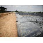 Anti Leakage 2mm HDPE Geomembrane Dam Reservoir Agricultural Pond Liner for sale
