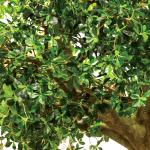 Height 300cm Artificial Realistic Fake Trees , Realistic Fake Trees All Season