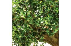 China Height 300cm Artificial Realistic Fake Trees , Realistic Fake Trees All Season supplier
