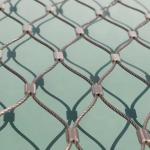 Aisi304 316 Stair Architecture Stainless Steel Rope Wire Mesh For Balcony Railing