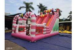 China Candy World Pink Style Inflatable Slides For Rental Event Party supplier