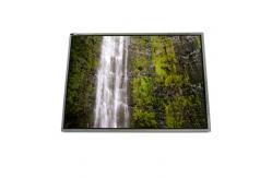 China LTD141ECQF 14.1 inch LVDS 262K TFT-LCD Screen Display supplier