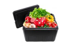 China Thermal Insulation EPP Box Food Distribution Thermohauser Box supplier