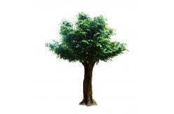 China 1000cm Height Artificial Banyan Tree Big Ficus For Outdoor Amusement Park supplier