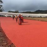 IAAF Certification Rubber Tartan Running Tracks EPDM Jogging Track System