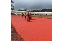 China IAAF Certification Rubber Tartan Running Tracks EPDM Jogging Track System supplier