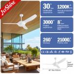 White 220 Volt Dc Motor Energy Saving Ceiling Fan With No Noise