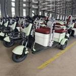 Family Commuting Leisure Electric Tricycle 500 Watt C6 50KM/H for sale